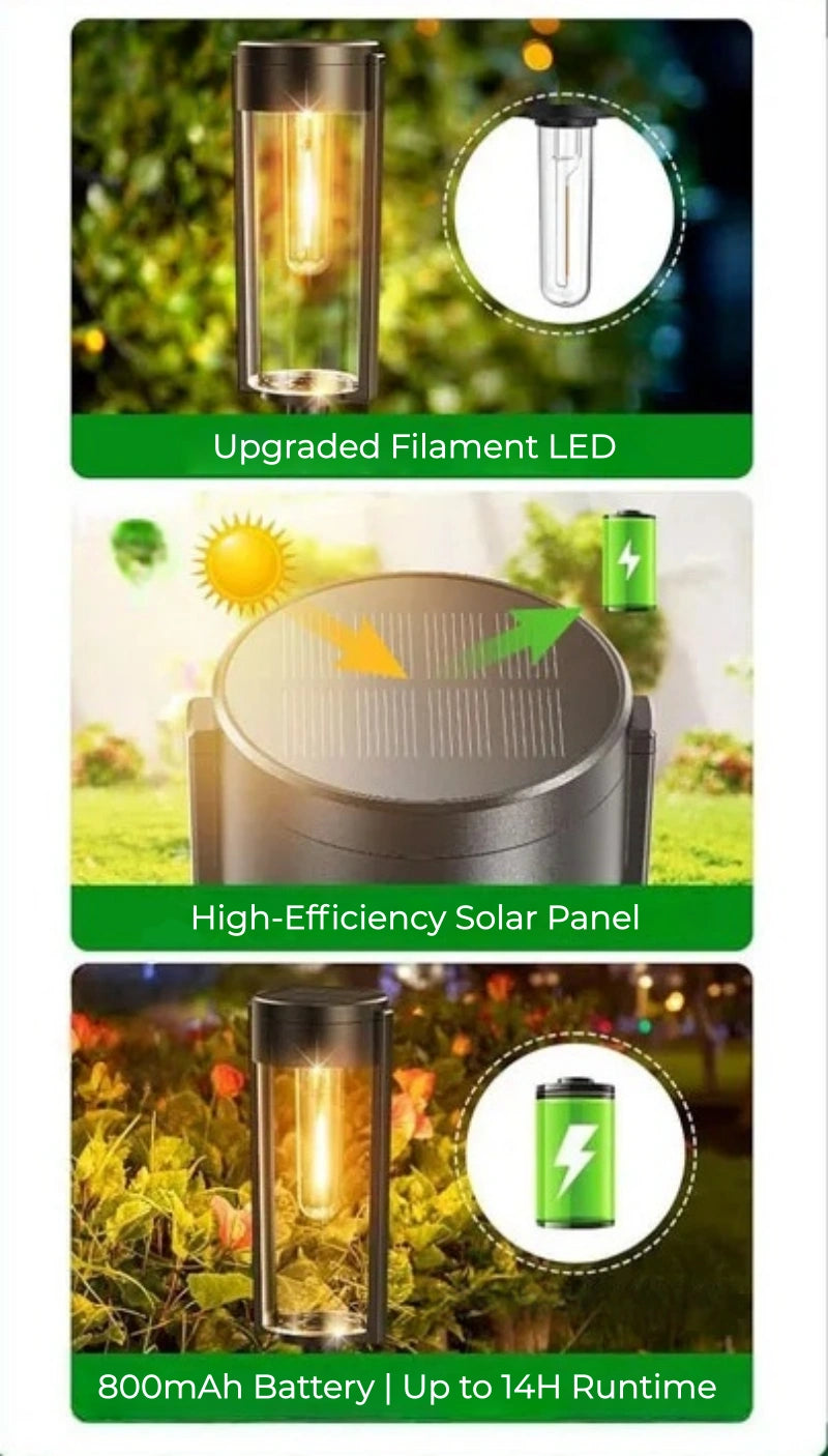 Timeless LED Filament Solar Path Lights