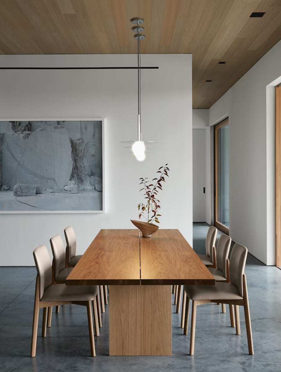 Orion Disc Globe Pendant Light