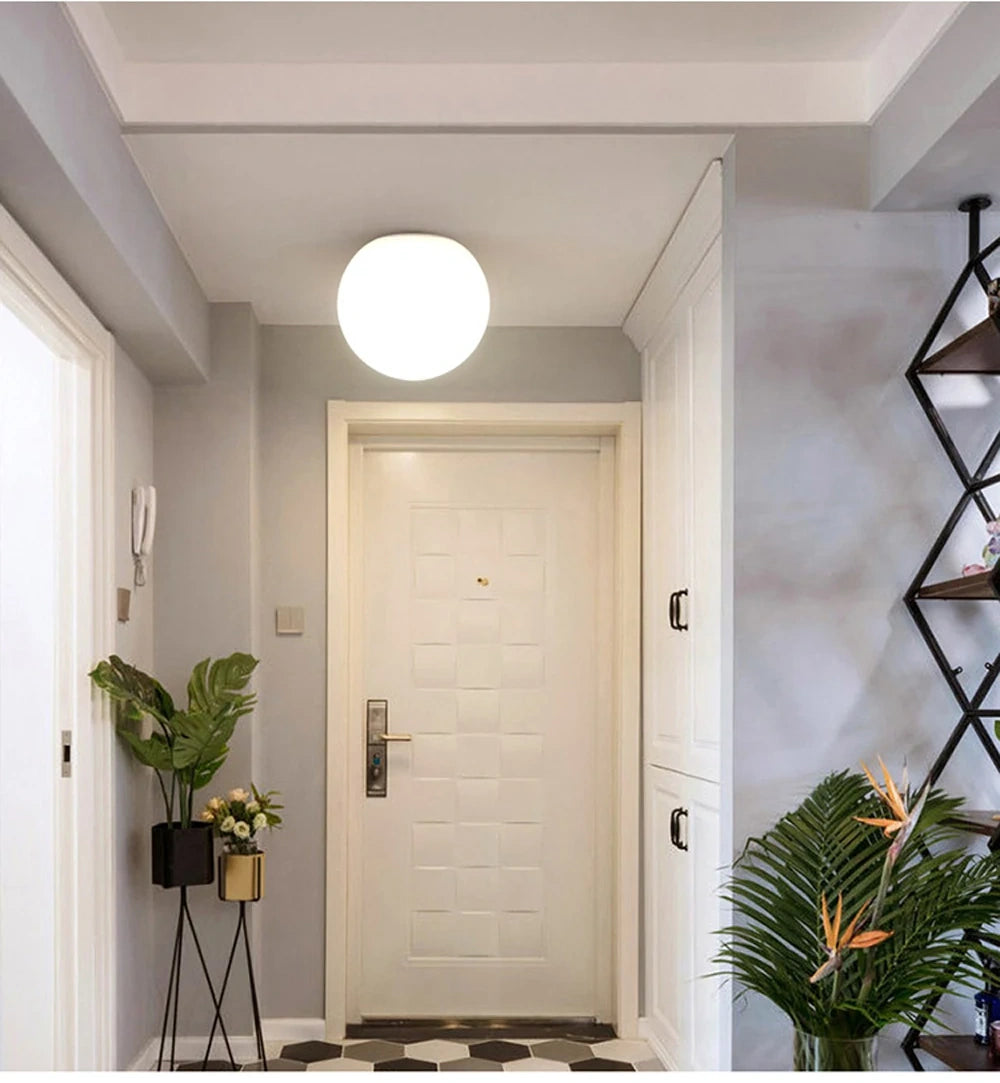 Selene Frosted Glass Globe Wall Sconce