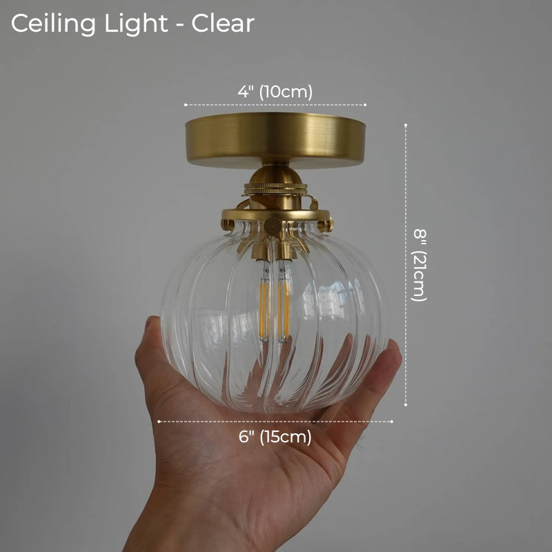Evelyn Glass Globe Wall Sconce & Ceiling Light