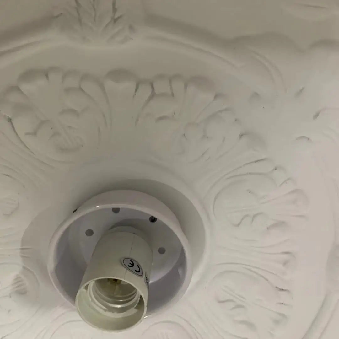 Resin Floral Relief Bloom Dome Pendant Light