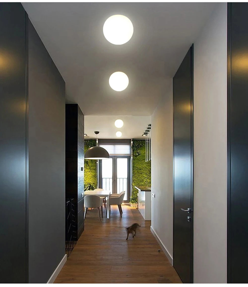 Selene Frosted Glass Globe Wall Sconce