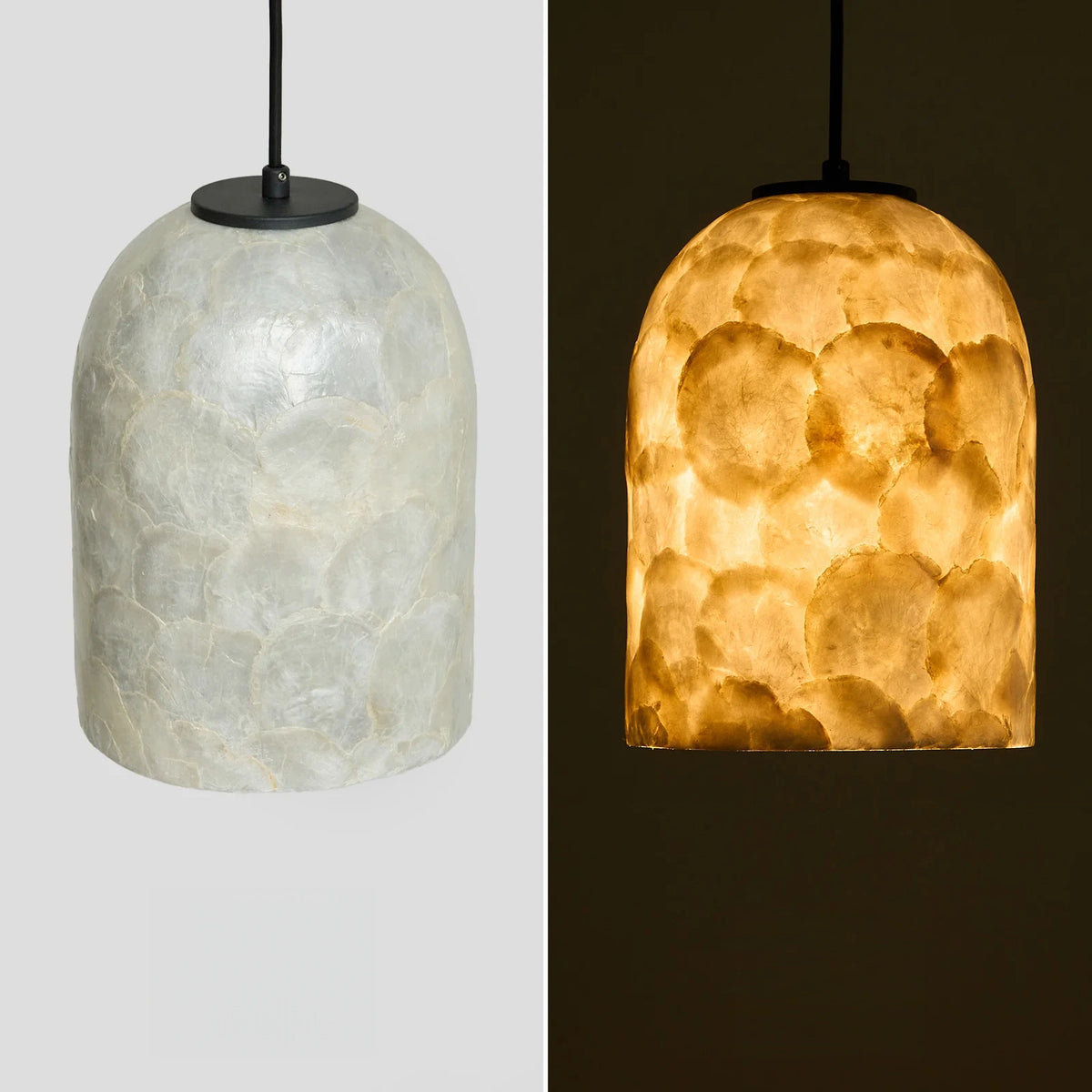 Nerina Capiz Shell Glass Dome Pendant Light