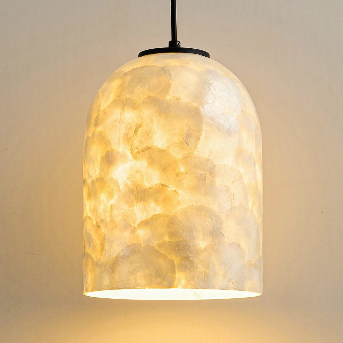 Nerina Capiz Shell Glass Dome Pendant Light