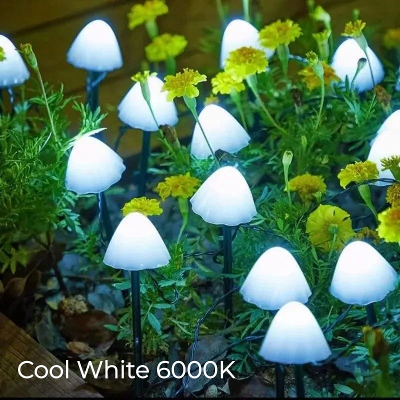 Mini Mushroom Solar Light