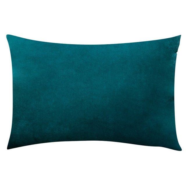 Multi-Colored Velvet Throw Pillow