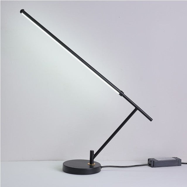 Modern Minimalist LED Floor Table Lamp