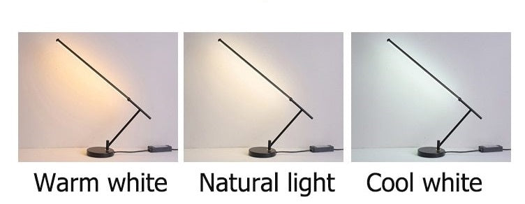 Modern Minimalist LED Floor Table Lamp