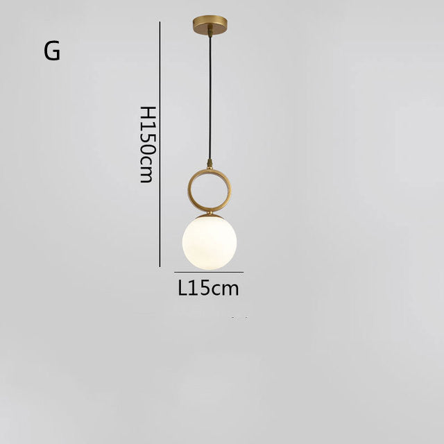 Modern Globe Glass Light Fixture