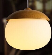 Frosted Glass Metal Pendant Light